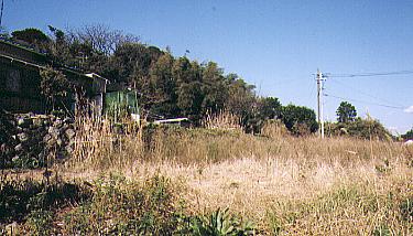 spe4_04.jpg (25401 バイト)
